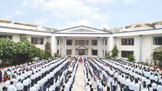 Career's Students