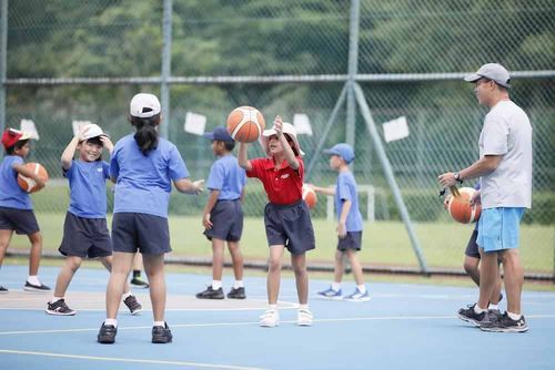 Daily Sports Activity