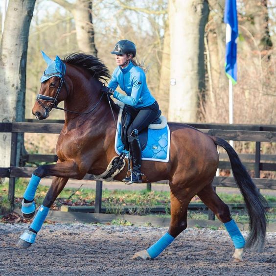 Horse Riding Training for NDA
